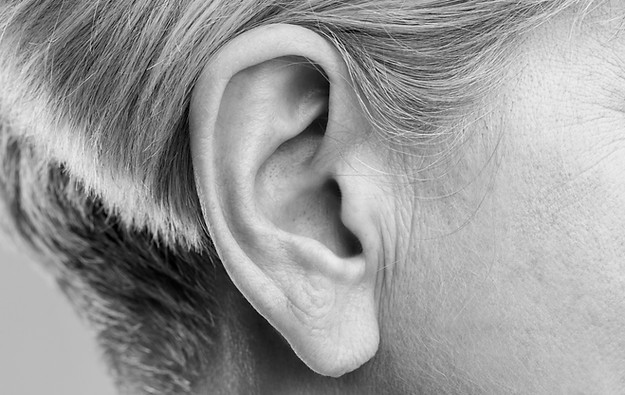The Ear is an upside down fetus