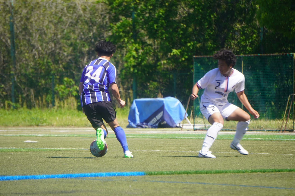 S__85279145_0.jpg