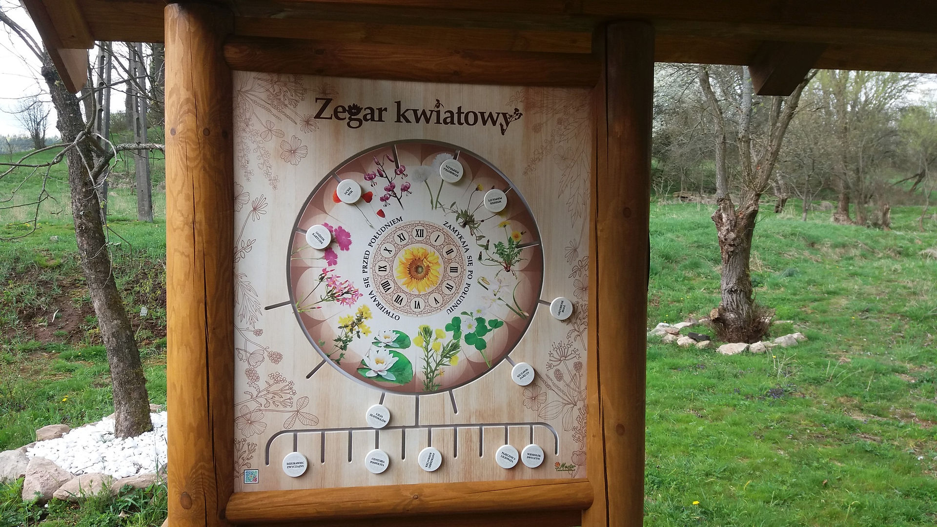 wiata szczegół1