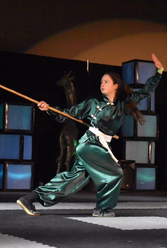 Zhong Yi Kung Fu Association
