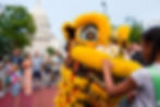Lion Dance & Kung Fu Demo - 2026 Madison Night Market