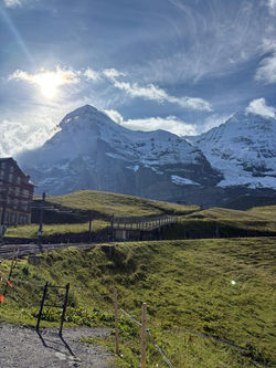 8233f8fe-a059-48f3-8446-bde580ac45ca