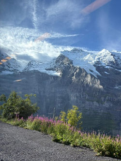 4b1ae4c8-c537-4a7c-a85f-31c45936d8f7