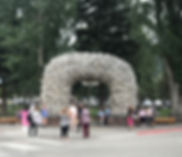 fullsizeoutput_23a4.jpeg