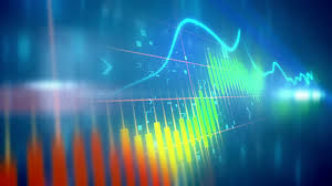 The Speculator and the Investor