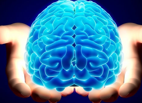 Palestra anual sobre saúde mental e comportamento seguro durante a crise.