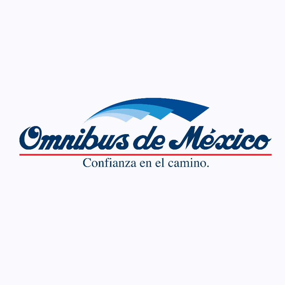Realiza tu pago con debito o crédito (38)