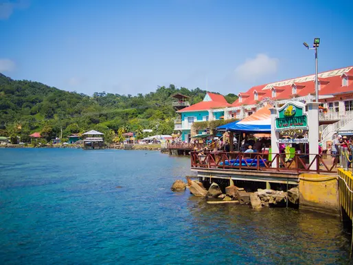 Innovative Catering Trends in the Caribbean: Elevating the Culinary Experience