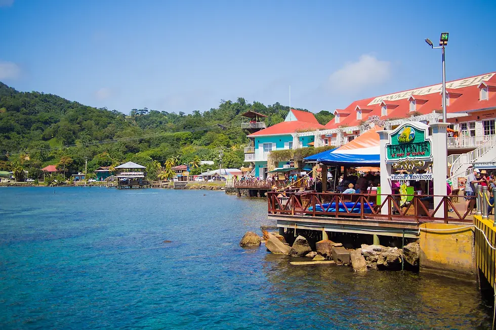 Innovative Catering Trends in the Caribbean: Elevating the Culinary Experience