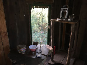 image3.jpeg