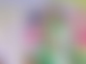 এসআইআর ইশ্যুকে হাতিয়ার করেই ছাব্বিশের ময়দানে ঘাসফুল শিবির