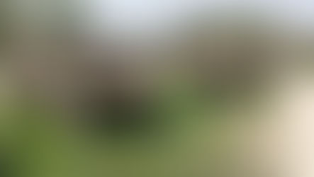 মাটি পাচার রুখল পুলিশ, গ্রেফতার ৫