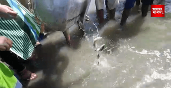 ১৬ হাজার মাছের পোনা ছাড়া হল মহানন্দায়