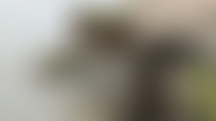 ভাঙনে তলিয়ে গেল ১০ মাসের শিশু