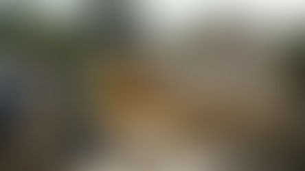 প্রার্থী নাপসন্দ! গাজোলে নির্বাচনি কার্যালয়ে তাণ্ডব