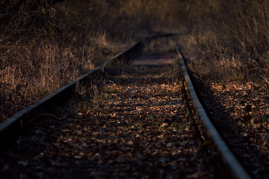 Body found on rail track at Malda