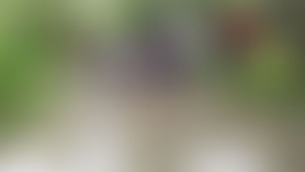 বৃষ্টিতে হাঁটু জল রাস্তায়, পথ অবরোধ পড়ুয়াদের