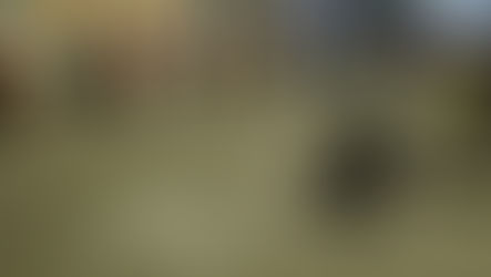 বিচারের দাবিতে ক্যানভাস হল নজরুল সরণী