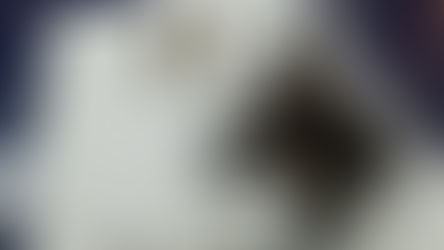 আগ্নেয়াস্ত্র-কার্তুজ সহ গ্রেফতার পুলিশি নজরে থাকা ব্যক্তি