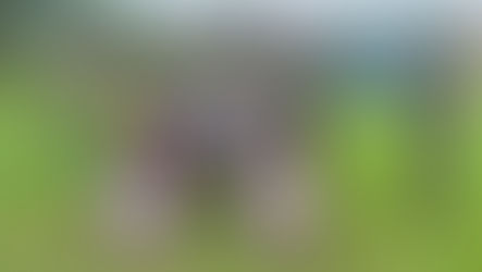 বিএসএফের হাতে বাংলাদেশি আটক