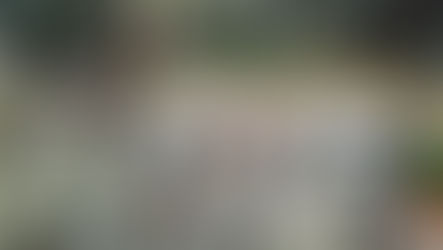 মাঝরাতে স্ট্রংরুমের সামনে মন্ত্রী, তীব্র উত্তেজনার মধ্যে পাহারায় বিরোধীরা