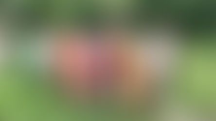 পাকুয়াহাট কাণ্ডে পুলিশ ও প্রশাসনের ভূমিকায় খুশি নয় জাতীয় কমিশন