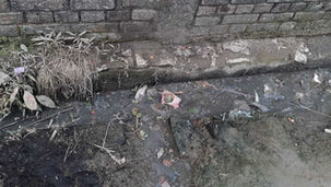 জমে থাকা পচা জলের দুর্গন্ধে নাভিশ্বাস হরিশ্চন্দ্রপুরে