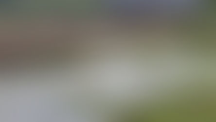 নদীর চরে মাটি ফেলে প্লট করে জমি বিক্রি, হরিশ্চন্দ্রপুরে চাঞ্চল্য