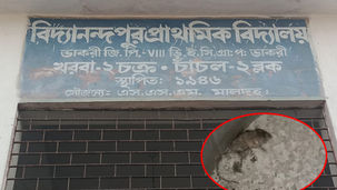 মিড-ডে মিলের চাল-ডালে মরা ইঁদুর ও টিকটিকি, কড়া পদক্ষেপ প্রশাসনের
