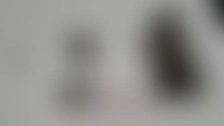 পিস্তল নিয়ে বিয়ে বাড়িতে, গ্রেফতার যুবক