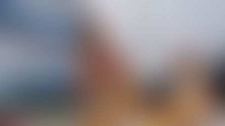 রামকেলিতে চৈতন্যদেবের আরও একটি মূর্তি উন্মোচিত হল