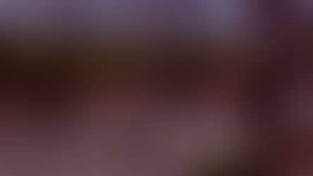 পলাতক জঙ্গি, সীমান্তে জারি লাল সর্তকতা