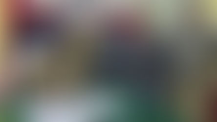 আগ্নেয়াস্ত্র ও কার্তুজ সহ গ্রেফতার ২