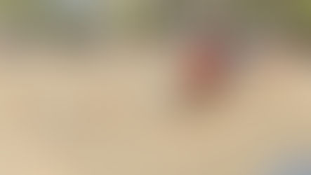বিজেপির মঞ্চ ভাঙার অভিযোগ তৃণমূলের বিরুদ্ধে