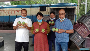 রাজধানী পাড়ি দিল মালদার হিমসাগর, ল্যাংড়া