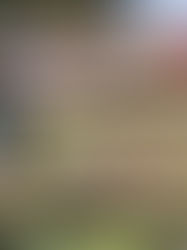 হিন্দুর মৃতদেহ সৎকারে এগিয়ে এলেন মুসলিম সমাজ