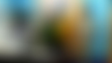 আধার জালিয়াতির অভিযোগে ধৃত দুই