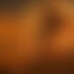 ওয়াকফ নথি আপলোডে সমস্যায় মোতুয়ালিদের একাংশ