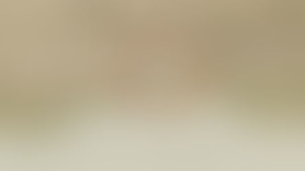 কালিন্দ্রীতে কুমির! চাঞ্চল্য মানিকচকের কাঞ্চনটোলায়