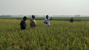 জমিতে রক্তের দাগ, নিখোঁজকে ঘিরে দানা বেঁধেছে রহস্য