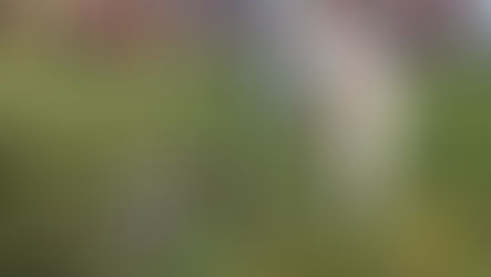 খুন না দুর্ঘটনা? মালদা এয়ারপোর্ট মাঠ থেকে উদ্ধার জোড়া মৃতদেহ