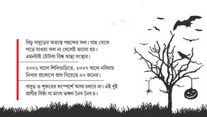 দ্রাবিড়ভূমি পেরিয়ে নিপা আতঙ্ক বঙ্গে