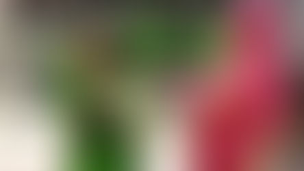 করোনা আবহে সরকারি সাহায্য ছাড়া লড়াই দৃষ্টিহীনের