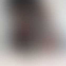 আগ্নেয়াস্ত্র সহ গ্রেফতার ২