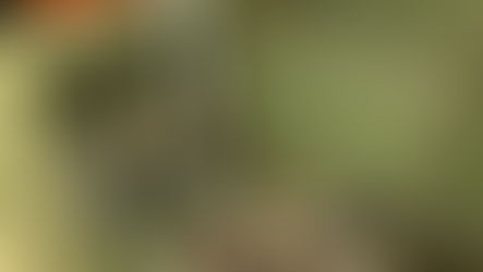ফাঁকা বাড়ির সুযোগে চুরি, নিরাপত্তা নিয়ে প্রশ্ন মানিকচকে