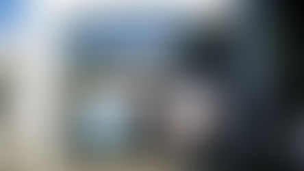 শুধু লাইব্রেরিয়ান, তবুও জেলা সেরার শিরোপা