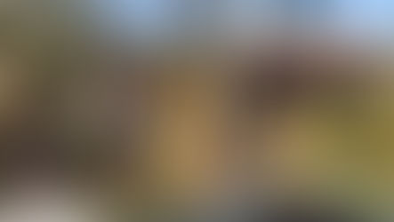 ভয়াবহ দুর্ঘটনায় একই পরিবারের তিন সদস্যের