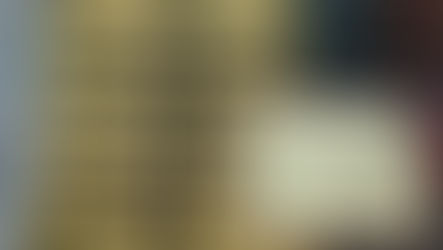 বিজেপির প্রতীকে ভোট দেওয়া ব্যালট উদ্ধার, আদালতে যাচ্ছেন প্রার্থী