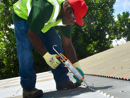 Roof Maintenance & Cleaning