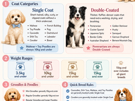 Breed Guide: How to Book Your Dog